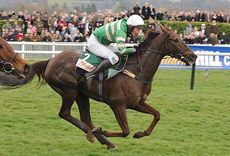 J.T. McNamara riding L'Ami at Cheltenham Festival 2009