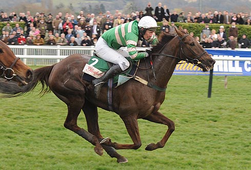 J.T. McNamara riding L'Ami at Cheltenham Festival 2009
