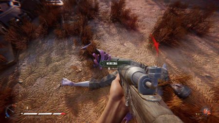 Sand: Raiders of Sophie weird coral dropped by defeated Upior coral zombie