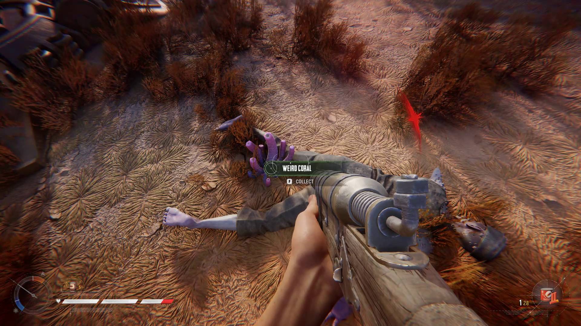 Sand: Raiders of Sophie weird coral dropped by defeated Upior coral zombie