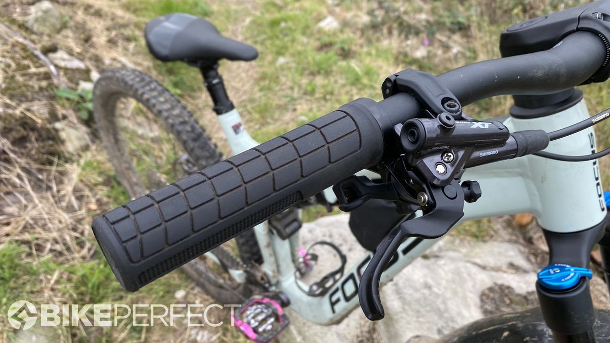Focus Jam 6.9 trail bike leaning against a rock next to a singletrack trail