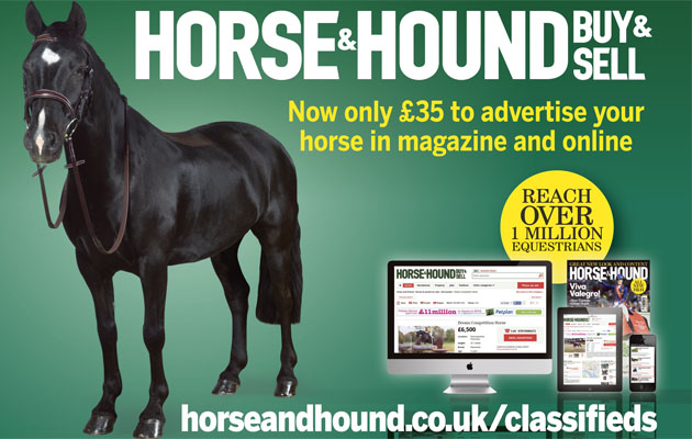 big-advert.jpg