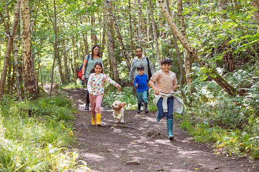 Family in forest