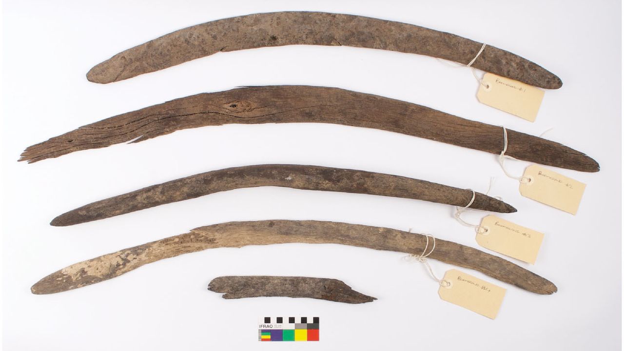 The four boomerangs and a shaped fragment of one were found in December 2017 and January 2018, when they were exposed in a riverbed during an especially hot summer.