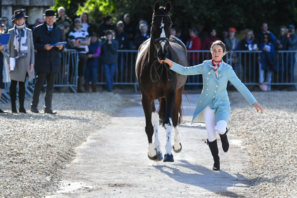 Badminton Horse Trials fashion