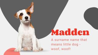 Animal baby names - Madden