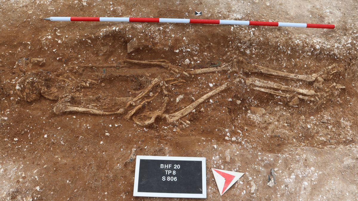 The skeletal remains of the Marlow Warlord, as he&#039;s been dubbed, show he was very tall for the time – about 6 feet, when the average height was about 5 feet 7 inches.