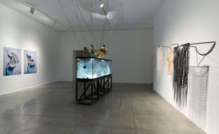 An aquarium in the center of a exhibition room featuring white walls with art , white ceilings with hanging lighting and grey floors