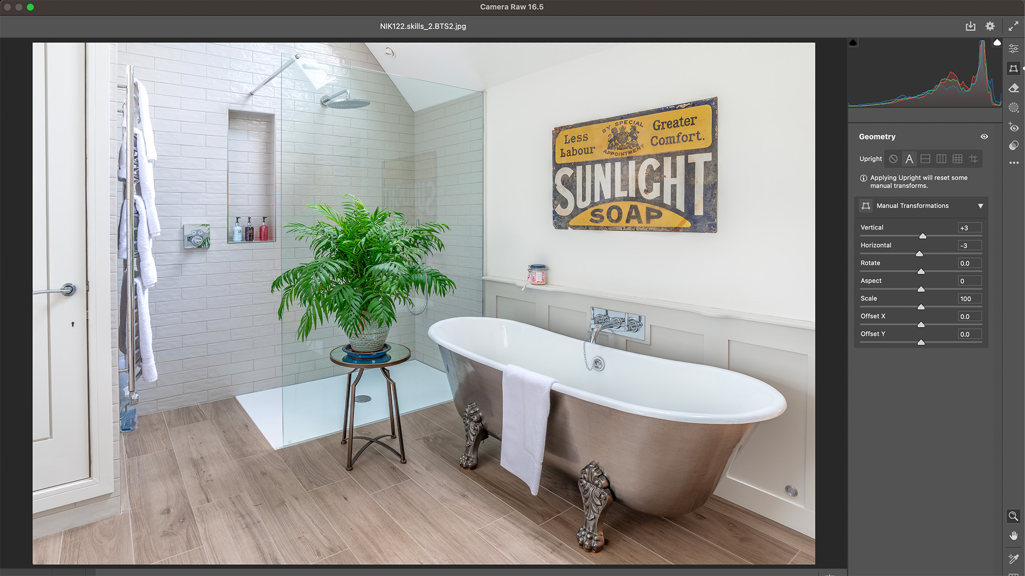 Camera Raw screenshot of white bathroom with free-standing bath