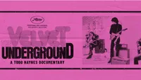   The Velvet Underground
