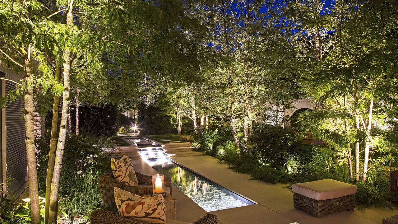 a modern urban garden with lighting on trees