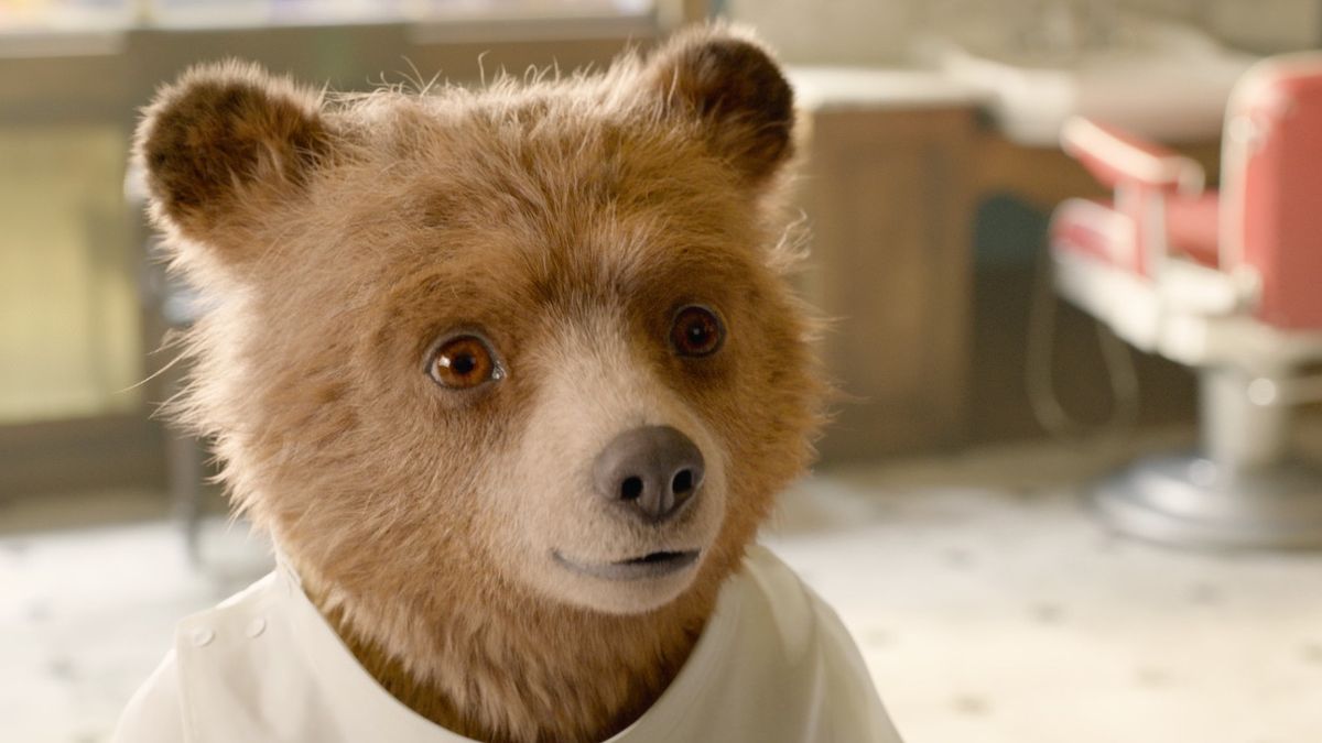 'Paddington 3': Release Date, Trailer, Cast And Everything We Know ...