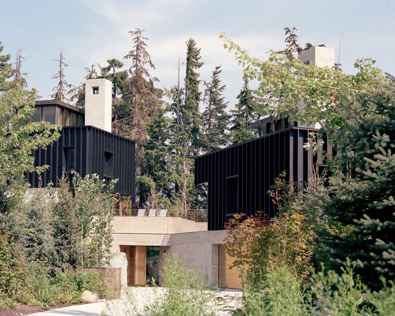 Entrance in the verdant landscape at The Rock house by Gort Scott