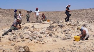 Several archaeologists excavate the rocky desert ground against a blue sky.