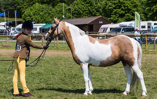 Devon County Show 2018