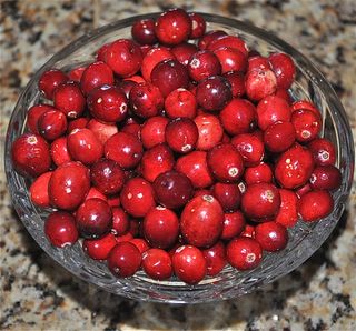 ommercial farming of cranberries began in the 1800's