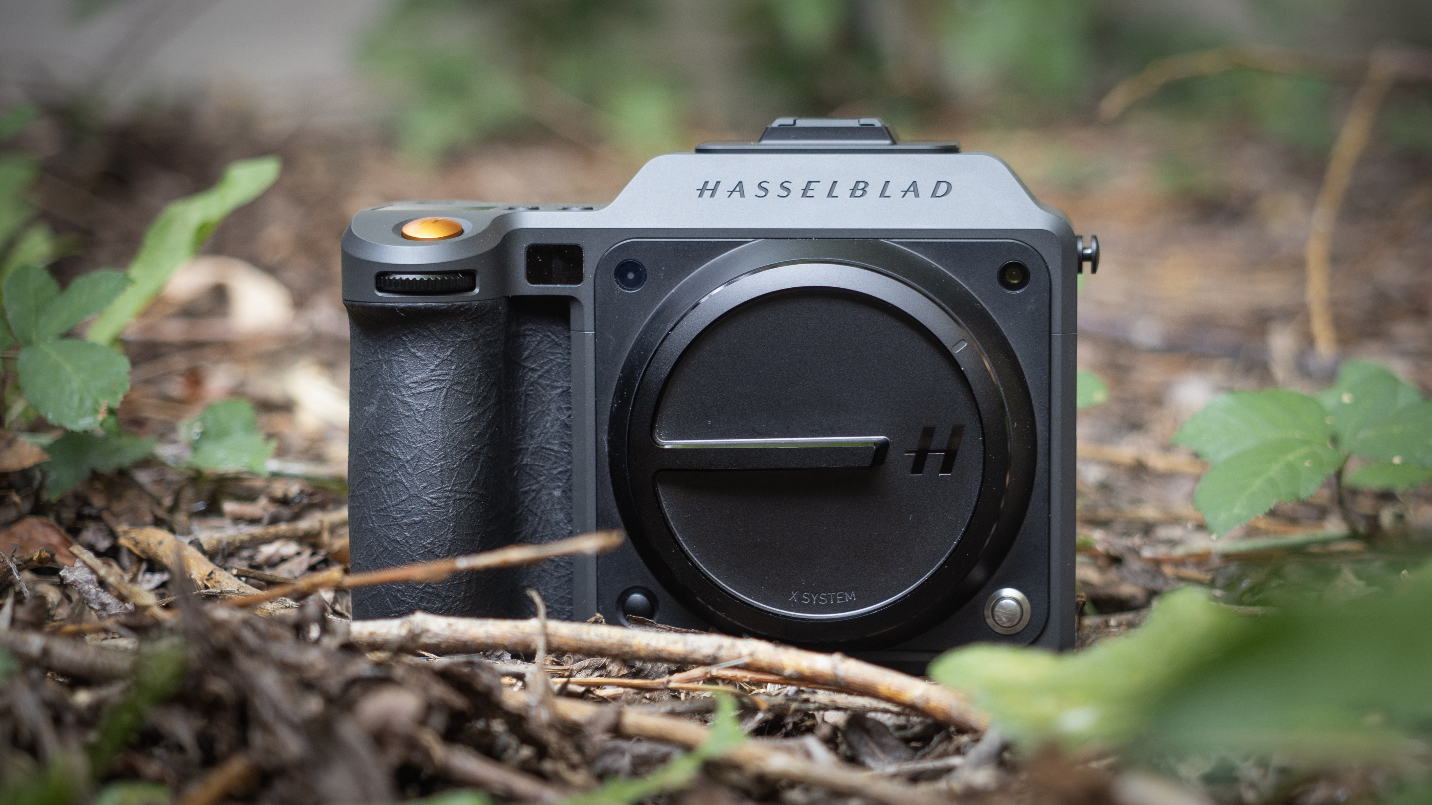 Hasselblad X2D II 100C in the undergrowth, in an outdoor setting