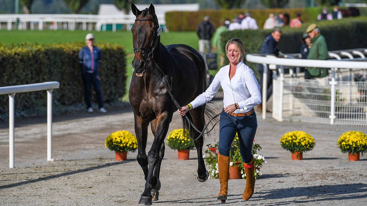 European Eventing Championships showjumping times: Nicola Wilson will showjump last