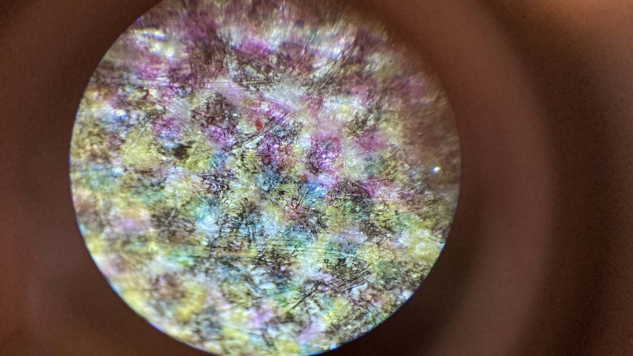 newspaper under a microscope