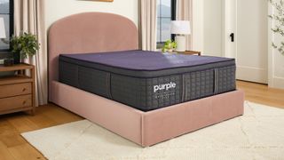 The image shows the Purple Rejuvenate Plus Mattress on a pink bed foundation in a neutral bedroom