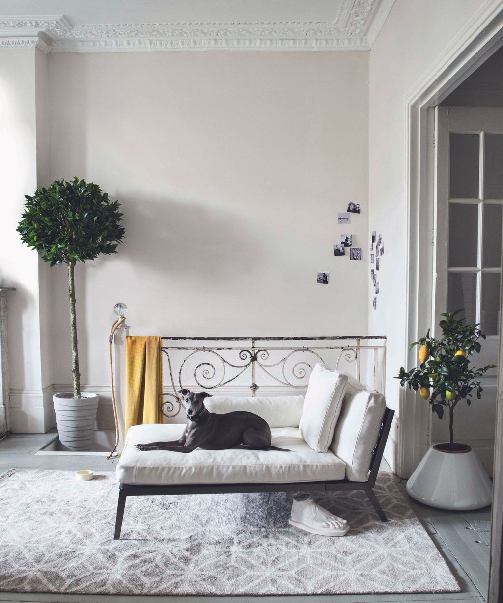 How to dogproof a living room 6 tips to try Livingetc