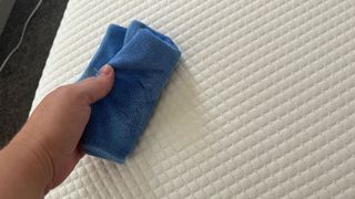 Blotting enyze cleaner to get cat urine out of a white mattress