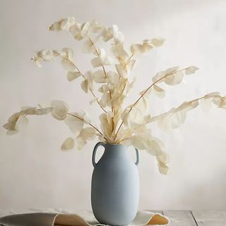 Preserved Silver Dollar Eucalyptus Bunch, White