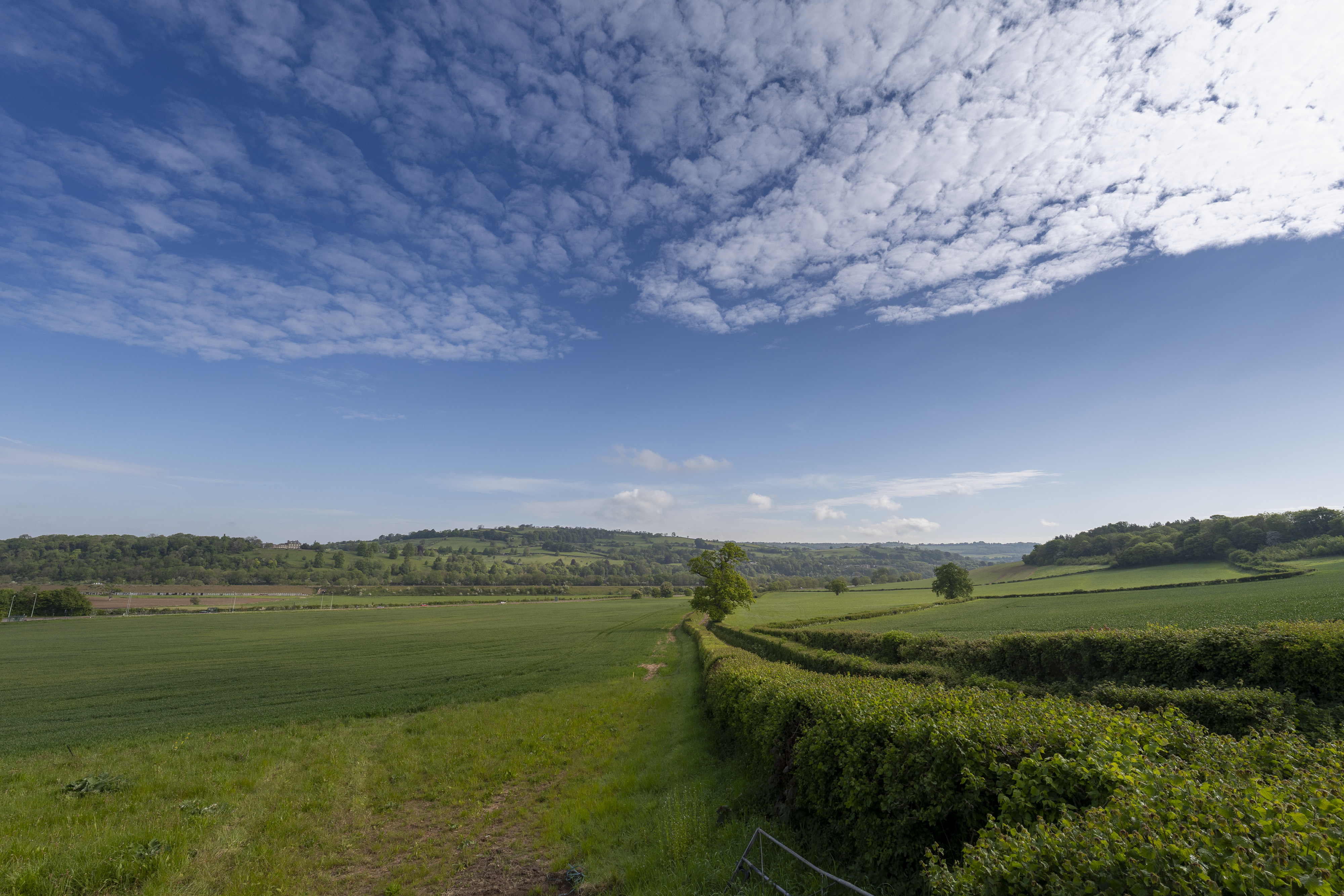 Blue sky and grassy views, wide landscapes shot with 14mm prime lens