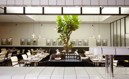 Large tree as a centre display, square tables with white and dark wood finished chairs, low hanging light fixture
