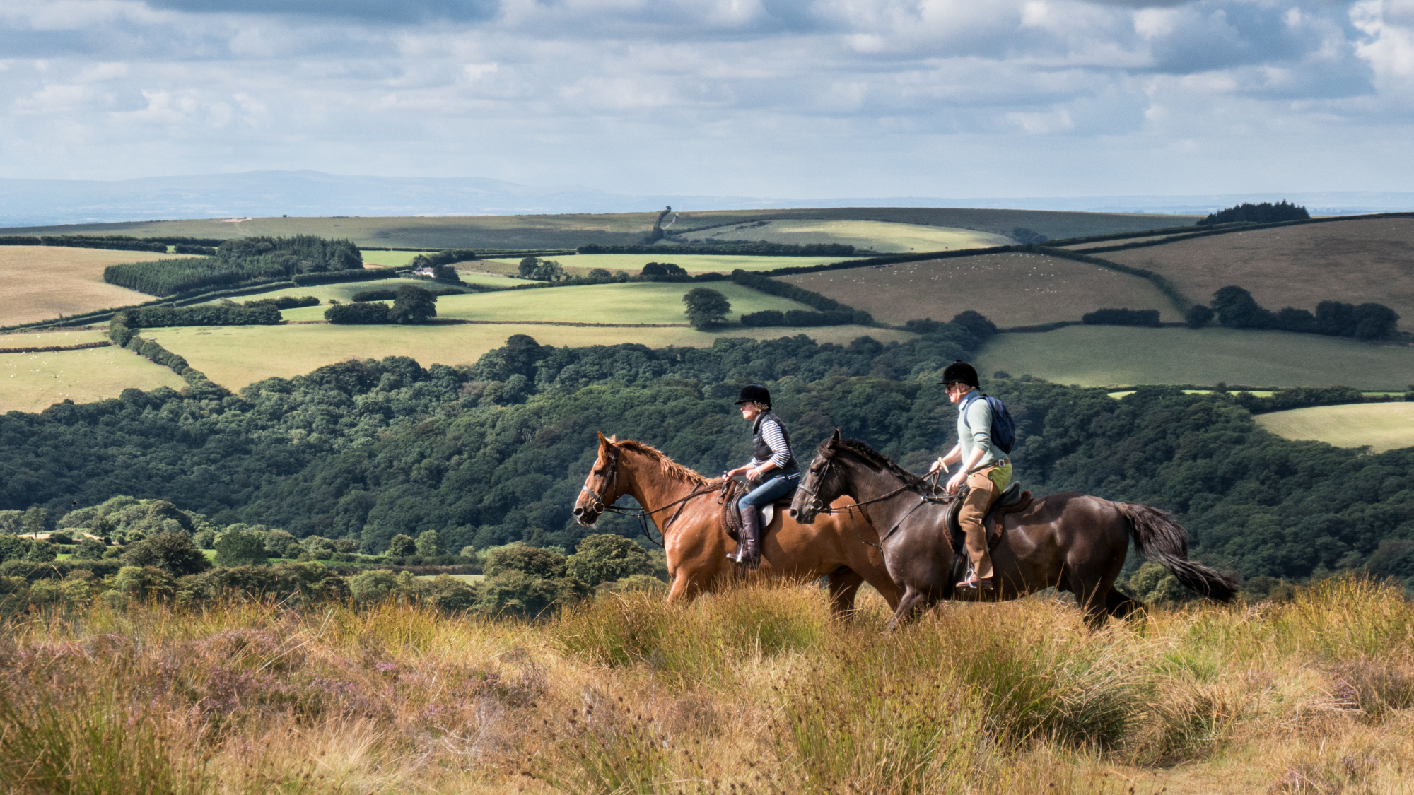 Horse riders in an Exeter landscape