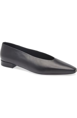 Hinted Pointed Toe Flat