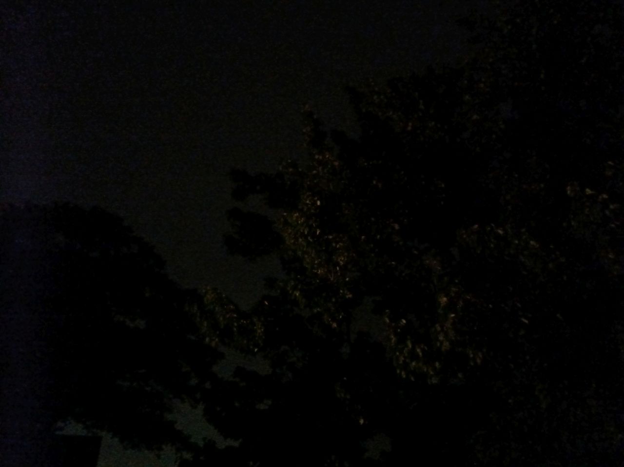 Punkt MC02 Phone low light sample.