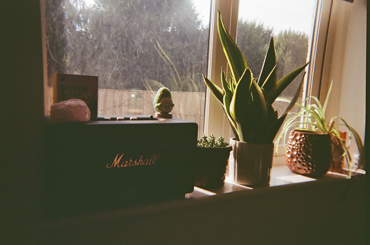A photo taken on a Lomography Simple Use Reloadable Film Camera Classicolor film camera