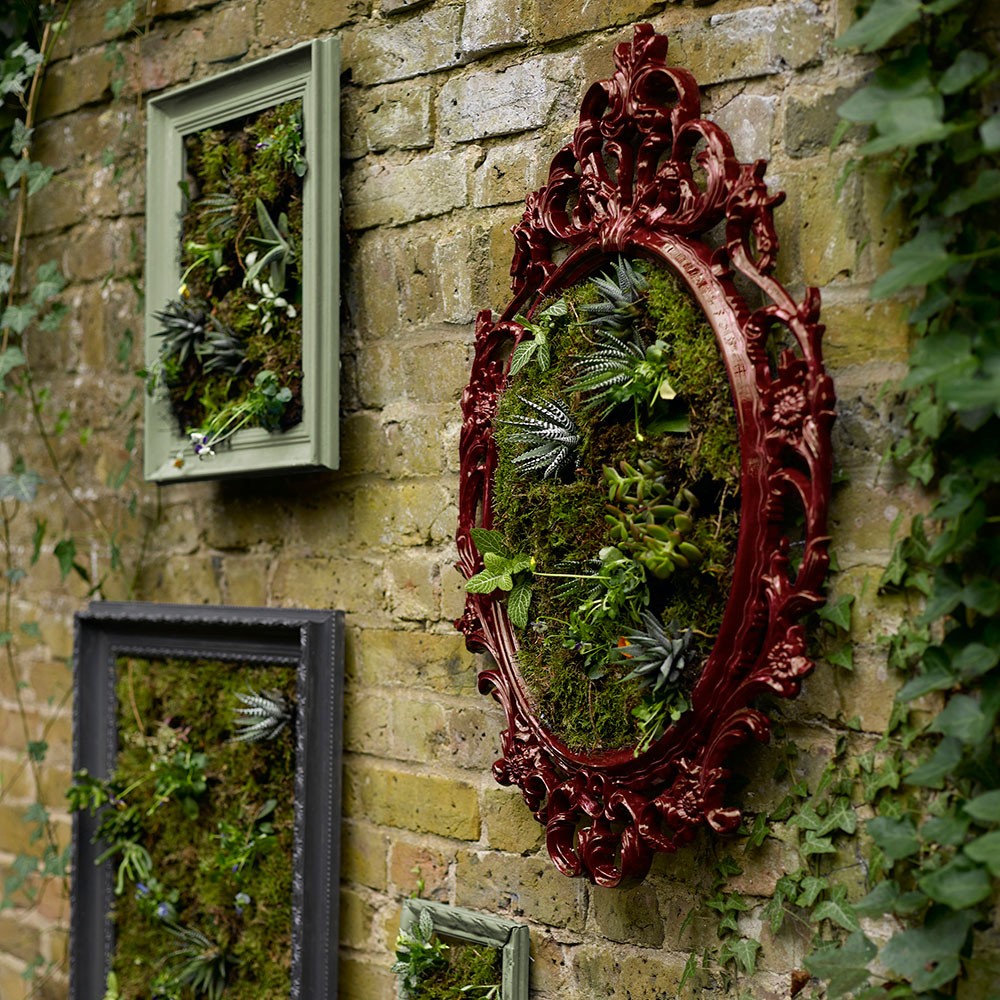 plants in picture frame