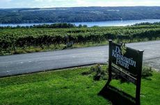 finger lakes wines, konstantin frank