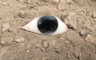 An eye inlay from a tomb dating to 4,000 years ago, in Lisht, Egypt. The expedition, co-led by Dr. Parcak, was conducted in partnership with the Egyptian Ministry of Antiquities.