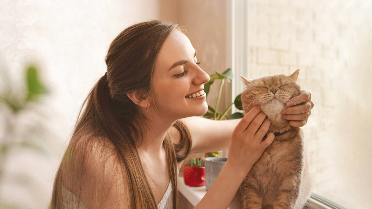 Cat sat on a window ledge while a woman strokes his cheeks and smiles