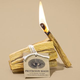 Anima Mundi Palo Santo Wood Bundle - Palo Santo Wood Incense Sticks - Wildcrafted & Sustainably Sourced Holy Sticks - Burning Wood Incense