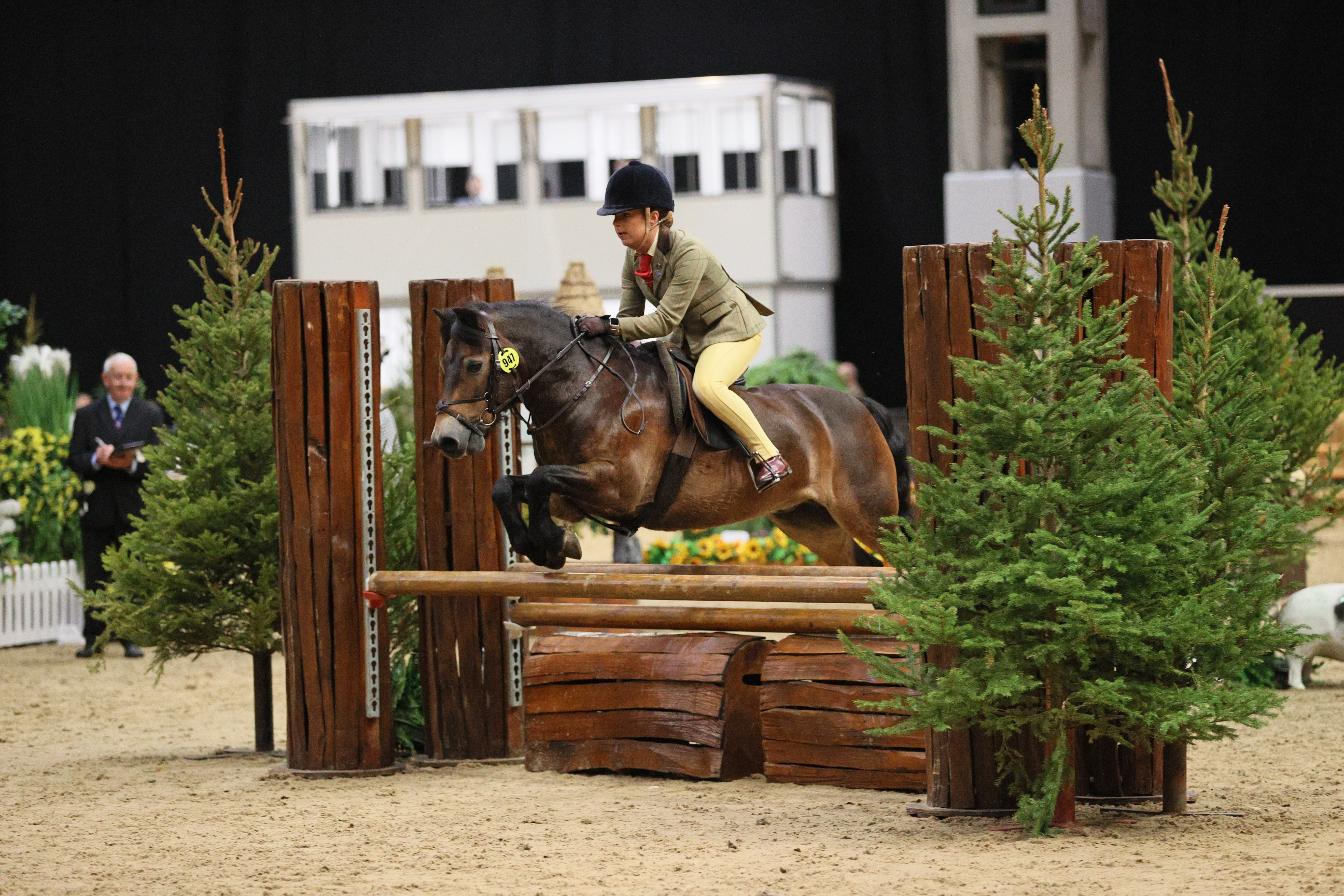 Moonpenny Delphius and Molly Barker jump to victory in the 122cm M&amp;M working hunter pony class