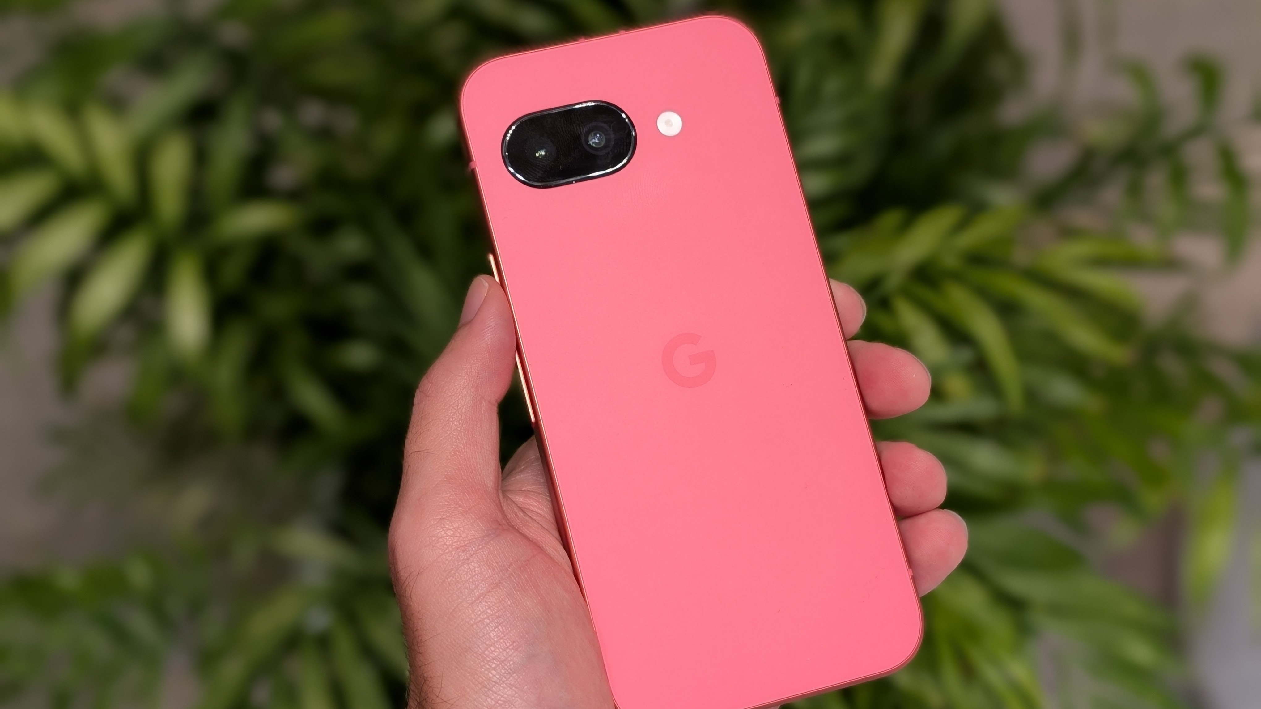 A close up of the Peony Google Pixel 9a held in hand in front of a houseplant.