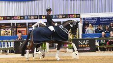 young horse training tips
