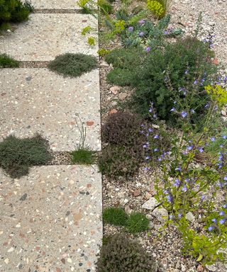 permeable paving with gravel border and planting