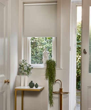 A white entryway with an open door, blinds, and a wooden table with plants on it