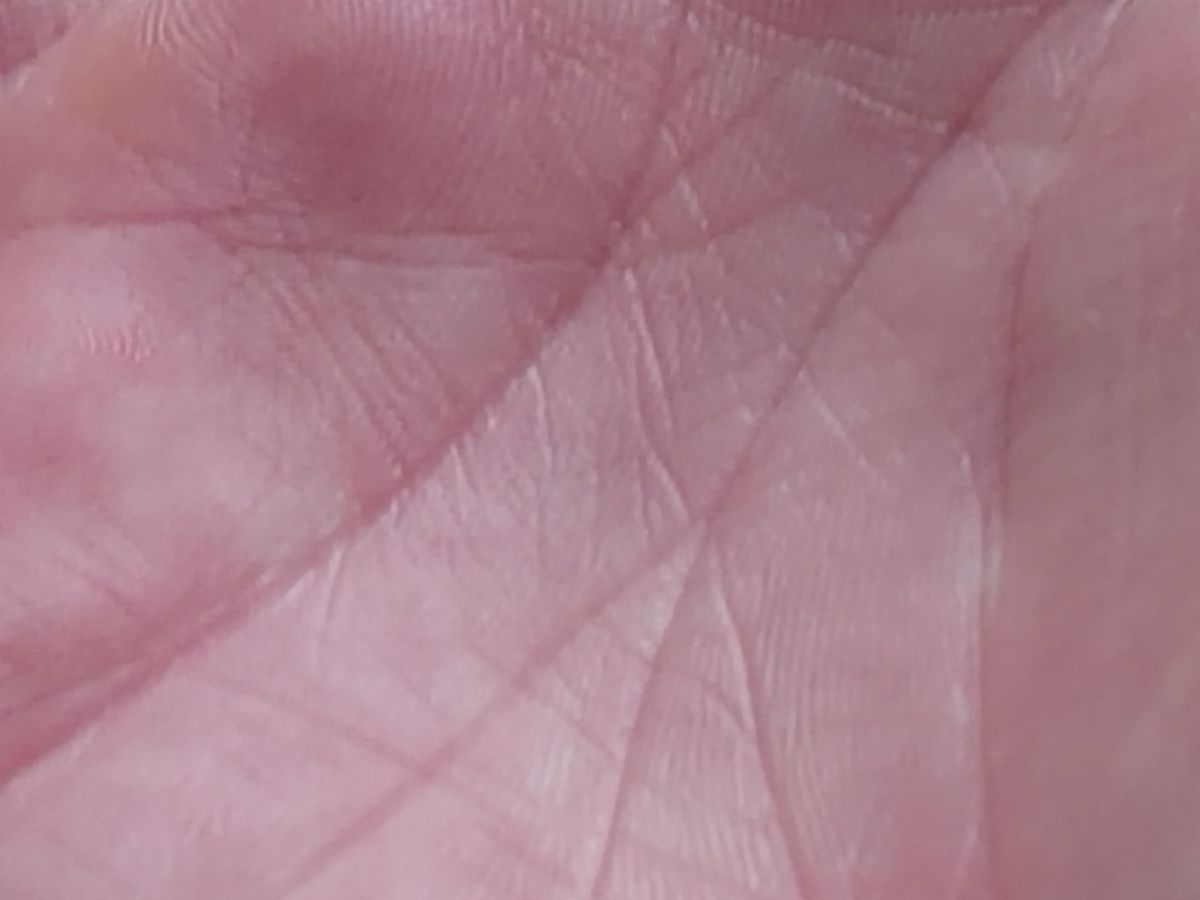 Apexel 200x smartphone micropscope sample images