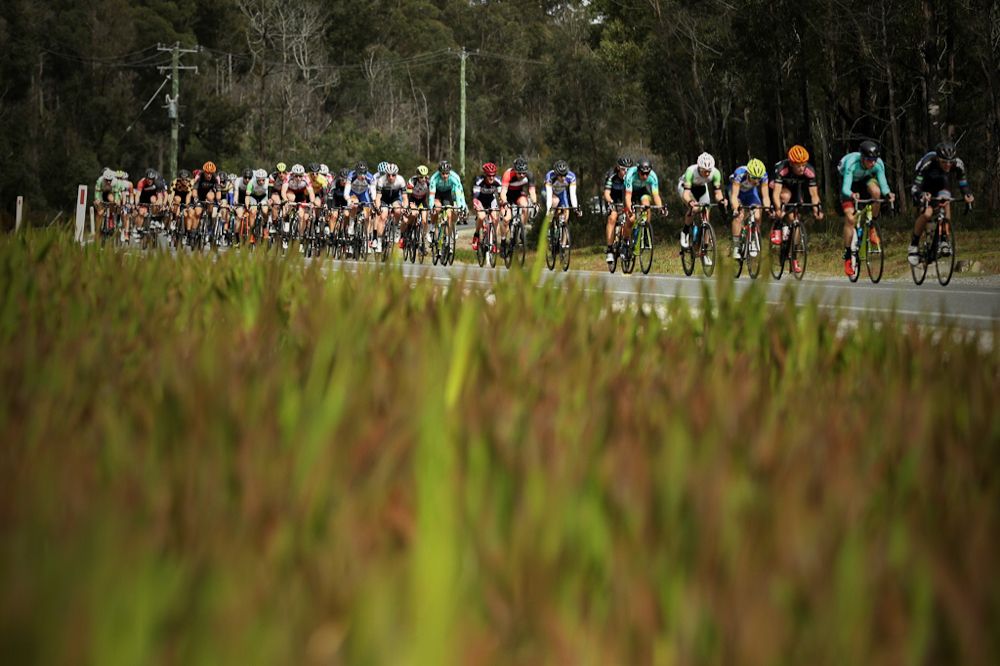 The peloton enjoying a flat section of Tasmanian road.