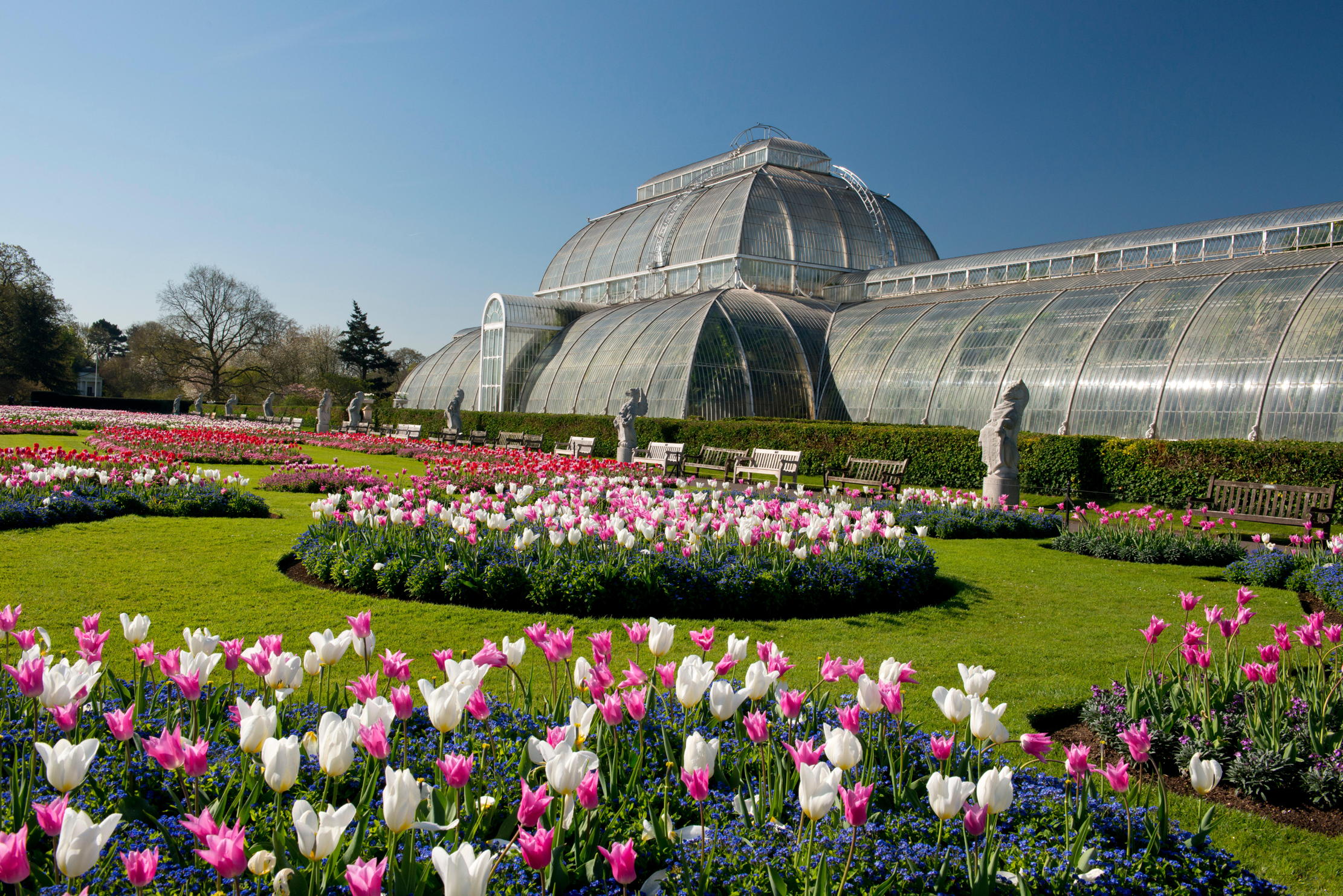 The Palm House at Kew Gardens.