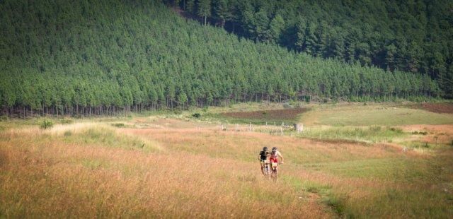 Racers in the Sabie marathon