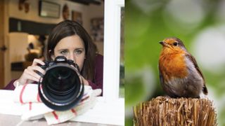 Home photography ideas: Bird photos from your kitchen window! 