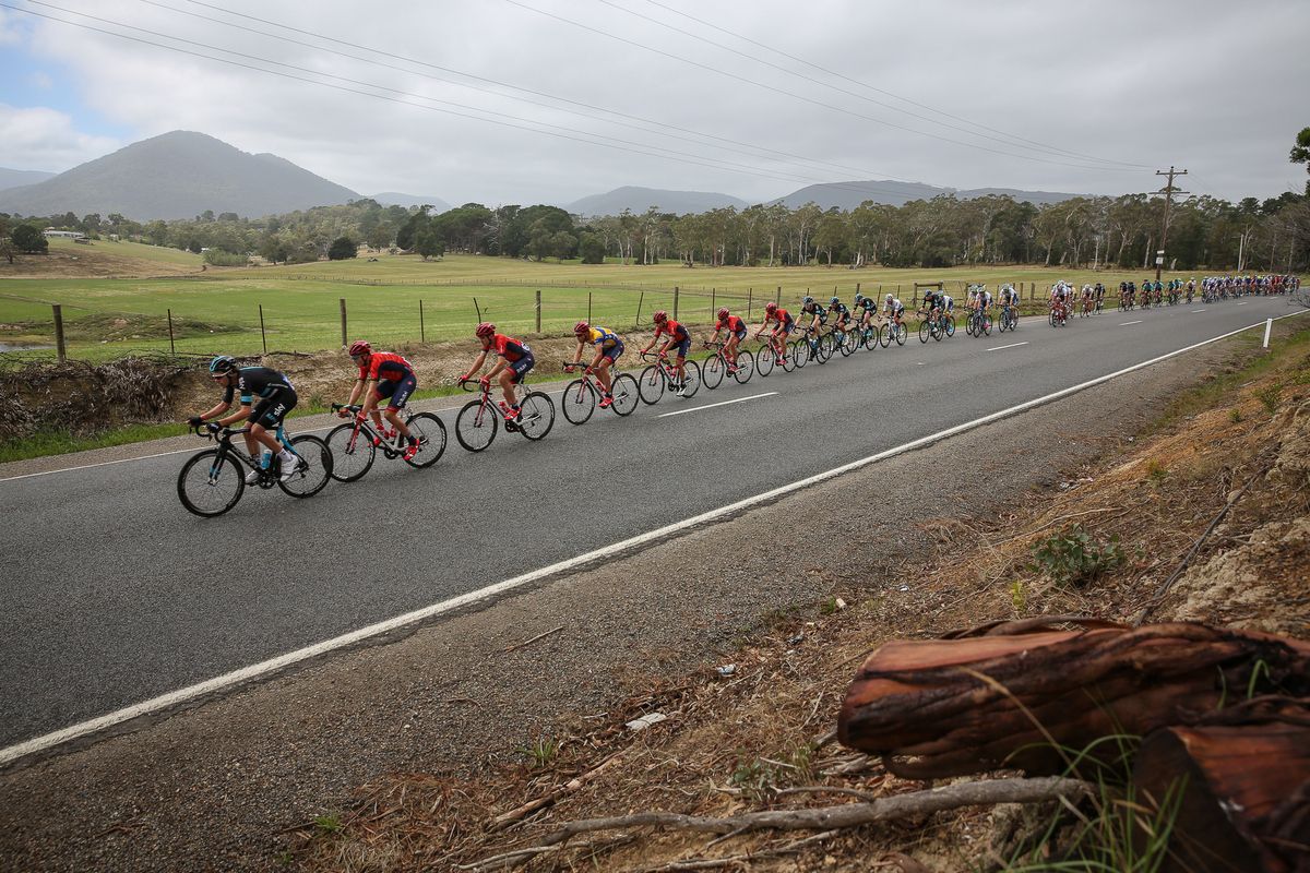 The peloton all lined out
