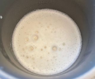Instant milk frother with hot milk
